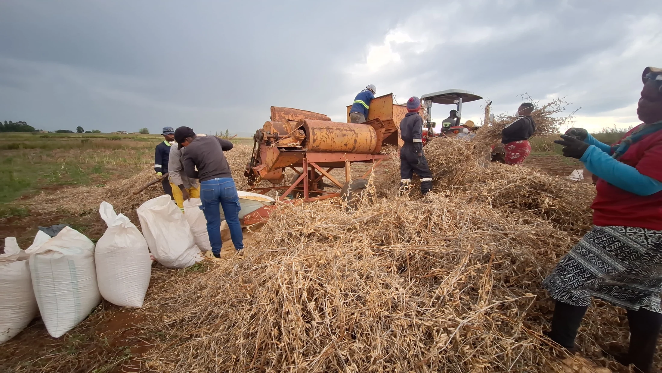 Harvest team threshing and bagging soy — Maliyeza Pty Ltd caption