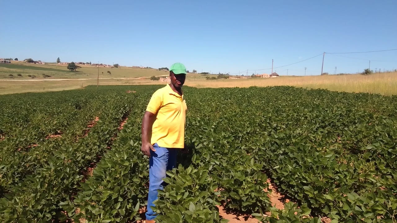 Farmer in green soybean rows — captioned MMN Mpungose